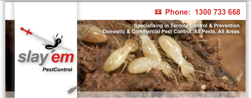 pest control mornington